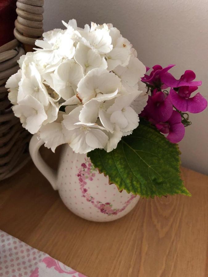 Rl Guesthouses 가이렌키르첸 외부 사진